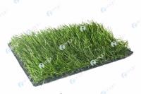 ������������� ����� GreenFields DT Pro