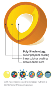 ��������� NPK Landscaper pro New Grass (����� �����) 20-20-8