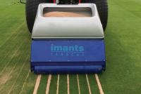 Campey IMANTS SandCat