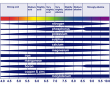 pH meter Soil Stick