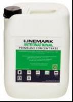 ������ Concentrate Paint (�olor)