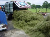 ��������� ������� SG 1170 Trilo