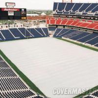 �������� �������� Evergreen Premium