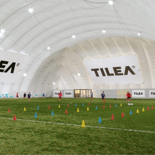 ��������� ����� TILEA® ��� ����-����������� ����