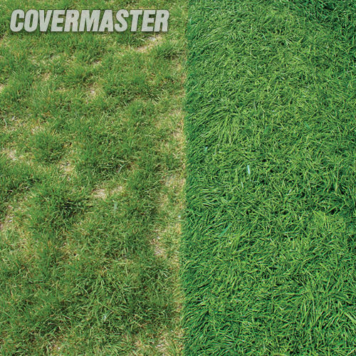 �������� �������� Evergreen Premium