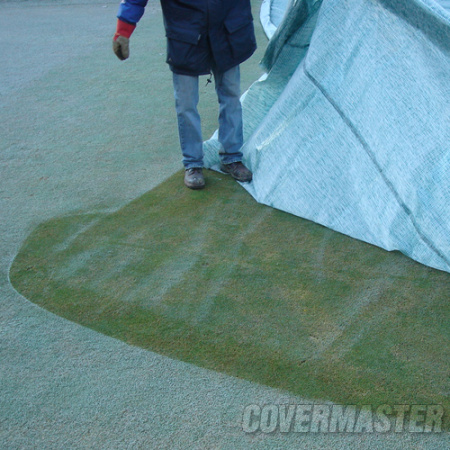 �������� �������� EVERGREEN ORIGINAL