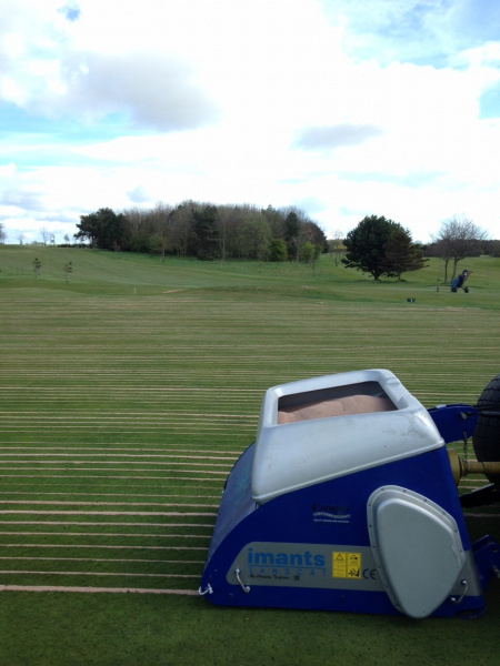 Campey IMANTS SandCat