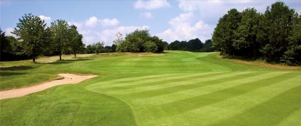 �������� ����� Barenbrug (���������) Tigershark