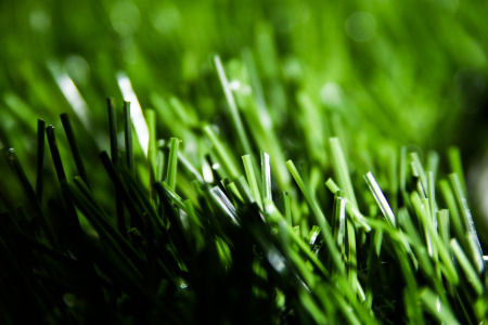 ������������� ����� HATKO INVICTO