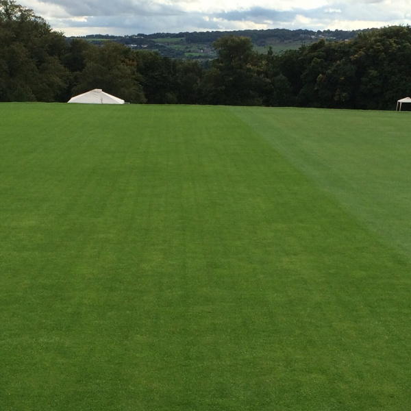 Campey IMANTS SandCat