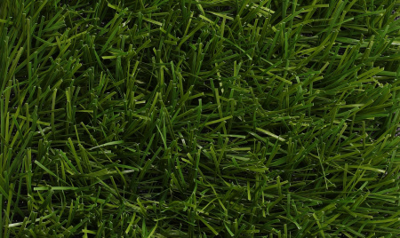 ������������� ����� ��Grass Libra