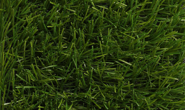 ������������� ����� ��Grass Libra