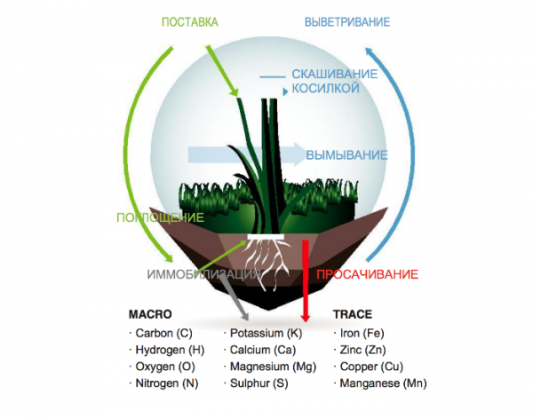 ��������� NPK Landscaper pro New Grass (����� �����) 20-20-8