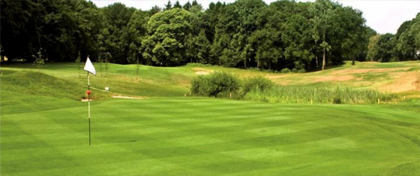 �������� ����� Barenbrug (���������) L-93