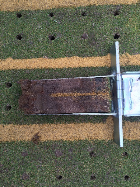 Campey IMANTS SandCat