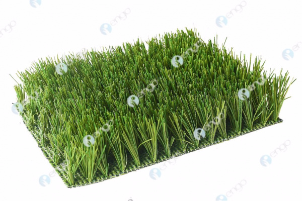 ������������� ����� GreenFields MX Elite