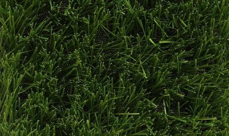 ������������� ����� ��Grass Pride