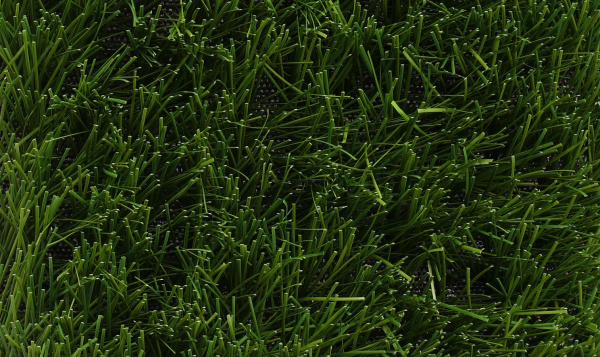 ������������� ����� ��Grass Pride