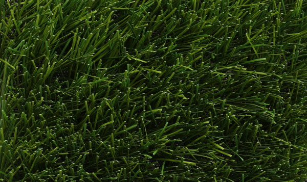 ������������� ����� ��Grass Superb