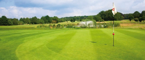 �������� ����� Barenbrug (���������) Ignite