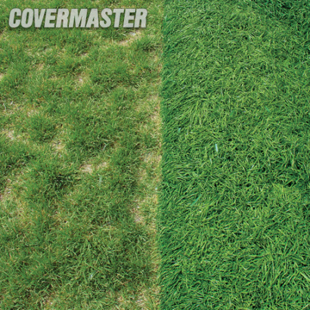 �������� �������� Evergreen Premium