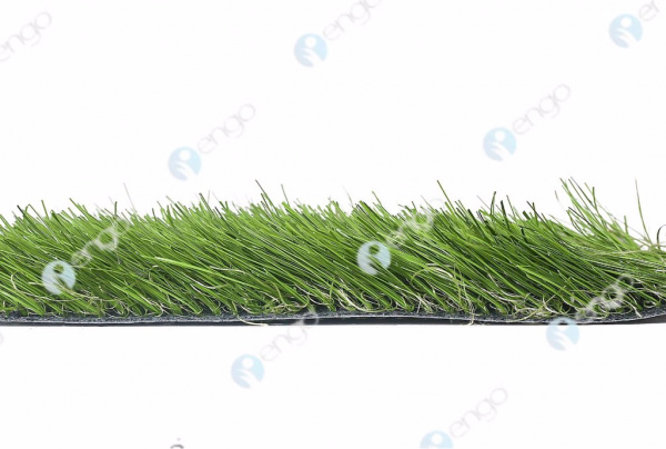 ������������� ����� GreenFields Evolution Pro