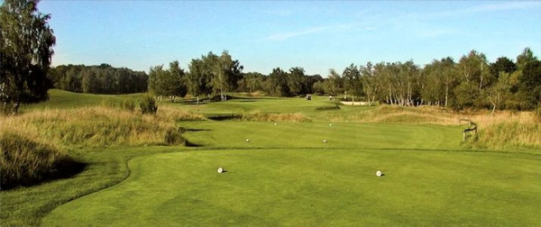 �������� ����� Barenbrug (���������) Tyee