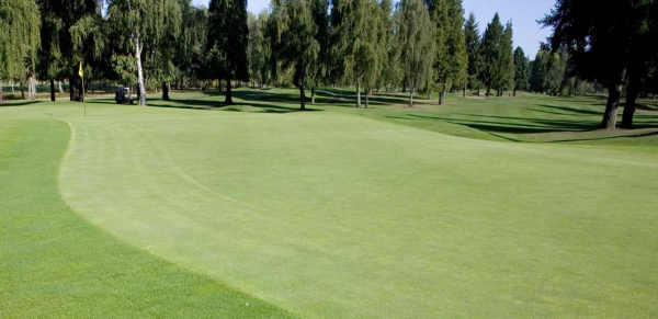 �������� ����� Barenbrug (���������) Bar Fairway